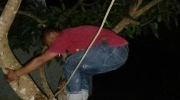 Petugas KPPS Panjat Pohon hingga Mendaki Bukit Saat Unggah Hasil Pemungutan Suara ke Sirekap KPU