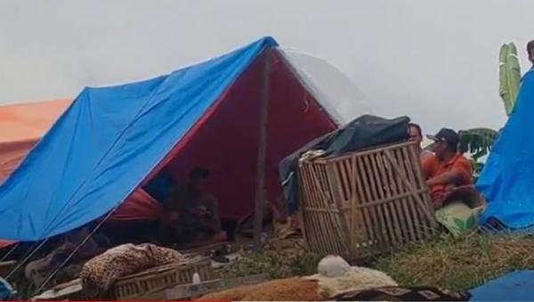 Kondisi Ratusan Pengungsi Korban Banjir Demak Memprihatinkan, Hanya Makan 1 Kali Sehari