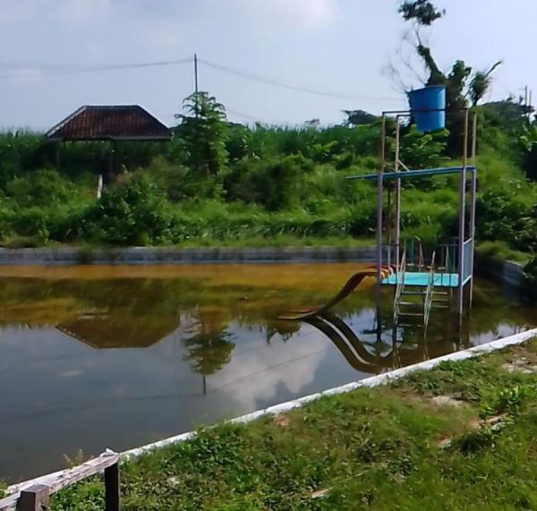 Diduga Telan Dana Desa Rp600 Jutaan, Proyek Pembangunan Kolam Renang Desa Guworejo Sragen Mangkrak