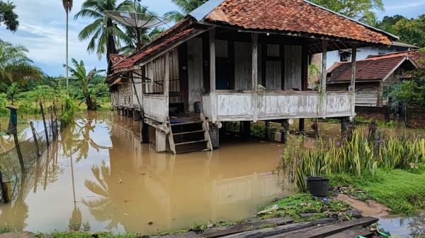 Banjir Landa 2 Kampung di Kecamatan Negeri Agung, Ini Pesan BPBD Way Kanan