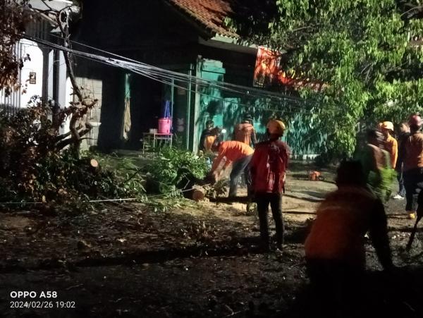 Empat Rumah dan 1 PAUD di Solo Tertimpa Pohon Tumbang Akibat Hujan dan Angin Kencang