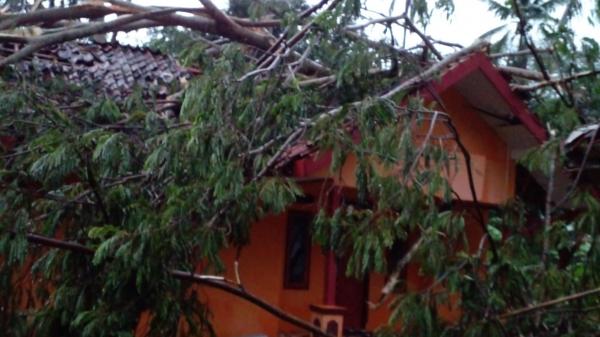 Puluhan Rumah Rusak dan Pohon Tumbang Disapu Angin Puting Beliung di Ciamis