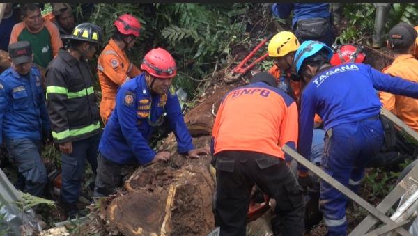 Proses Evakuasi Korban Pohon Tumbang di Pasirkareumbi Subang Berjalan Dramatis