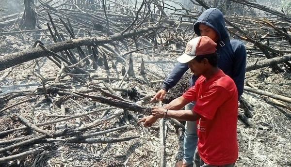Polisi Amankan Petani Pembakar Lahan di Rohil