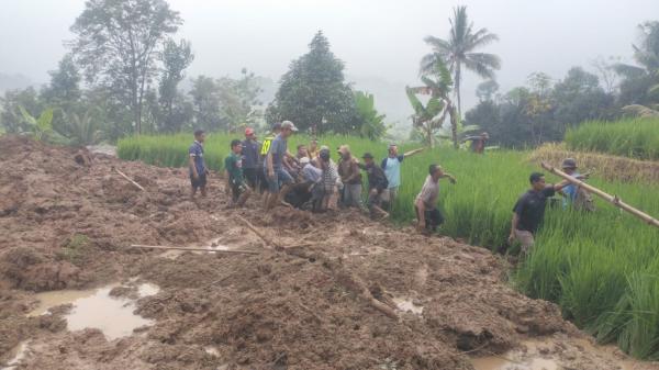 Hujan Deras, Longsor Terjang Kabupaten Purwakarta, Satu Orang Dikabarkan Meninggal Dunia