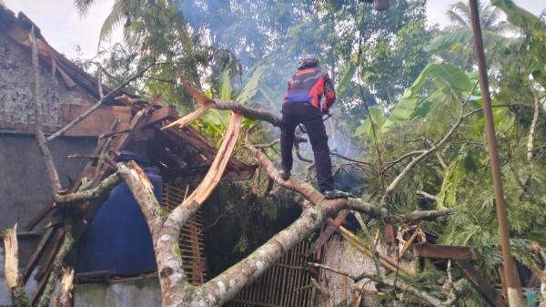 Pohon Sengon Tumbang Rusak Atap Rumah Warga di Pamarican Ciamis