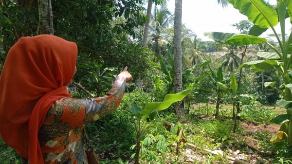 Warga Kedungcaung Keluhkan Bau Tak Sedap dari TPA Cibeureum Kota Banjar