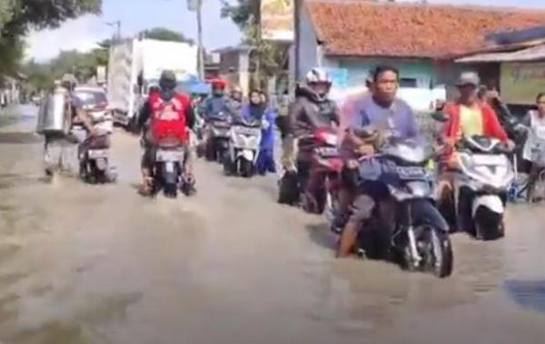 Sungai Cisanggarung Meluap, 8 Desa di Brebes Terendam Banjir