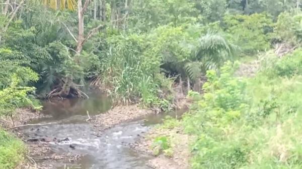 Sempat Dilaporkan Hilang, Kakek 84 Tahun Ini Ditemukan sedang Cuci Baju di Sungai