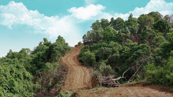 TNI Buka Jalan di Atas Pegunungan untuk Mudahkan Warga Angkut Hasil Kebun