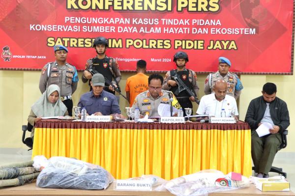 Gajah Mati Terlilit Kabel Arus Listrik di Pidie Jaya Aceh, Pelaku Terancam Hukuman 5 Tahun Penjara