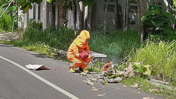 2 Warga Ciamis Disengat Tawon yang Sarangnya Jatuh ke Jalan, Damkar Lakukan Evakuasi