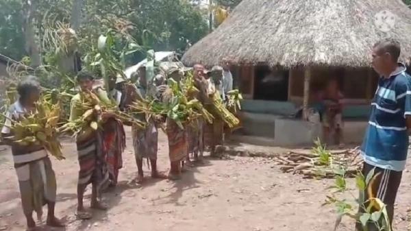 Mengenal Tradisi Usa Pena yang Masih Jadi Ritual Tahunan Suku Dawan Timor Tengah Utara