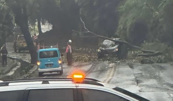 Semarang Hujan Angin, Sejumlah Pohon Tumbang Macetkan Jalan