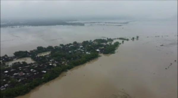 Banjir Akibat Luapan Sungai Bengawan Solo di Tuban Meluas, Empat Kecamatan Terendam Banjir