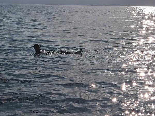 Ini Manfaat Mandi Lumpur dan Berenang di Laut Mati Yordania 