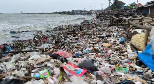 Puluhan Ton Sampah Berserakan di Pesisir Pantai Pandeglang Dampak Gelombang tinggi dan Angin Kencang