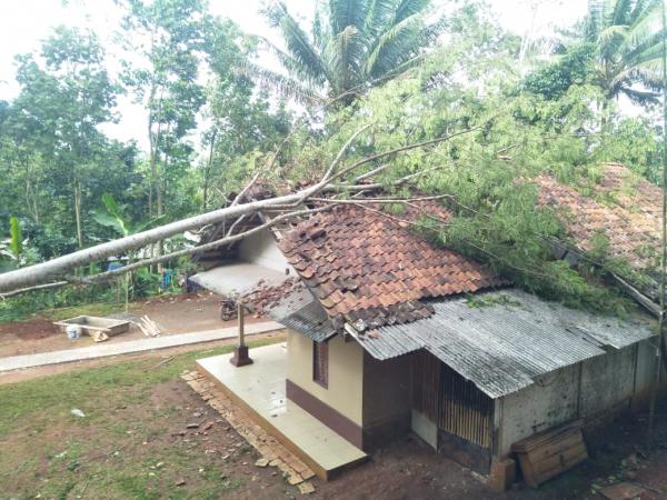 2 Rumah Warga di Tambaksari Ciamis Diterjang Pohon Tumbang