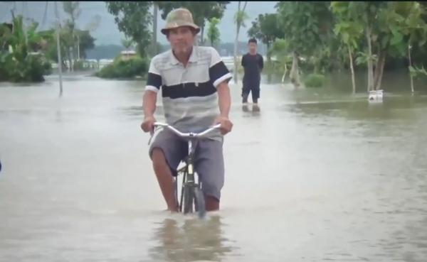 Banjir Mulai Surut, Jalan Desa, Sekolah dan Sawah Masih Tergenang Banjir