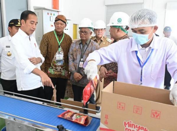 Diresmikan Jokowi, Ini Perbedaan Minyak Makan Merah dengan Minyak Goreng