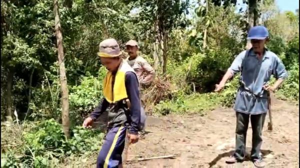 3 Ekor Kerbau Dicuri Kawanan Maling di Bantarkalong Tasikmalaya, Korban Rugi Rp80 Juta