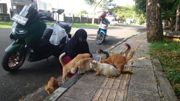 Seorang Ibu di Ciamis Berbagi Makanan untuk Kucing Telantar saat Ngabuburit