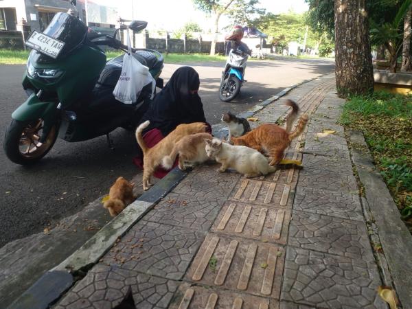 Ngabuburit Ala Ibu Dena, Beri Makan Kucing-Kucing Terlantar di Sejumlah Lokasi di Ciamis Kota