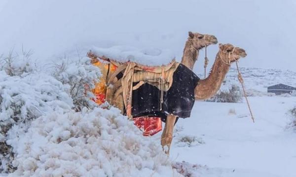 Penampakan Gurun Salju Tersebar Luas di Arab Saudi Saat Ramadhan