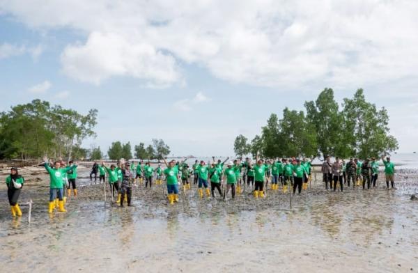 Cegah Abrasi Pantai dan Kurangi Emisi Karbon, Pertamina EP Bunyu Field Tanam 1.000 Bibit Mangrove