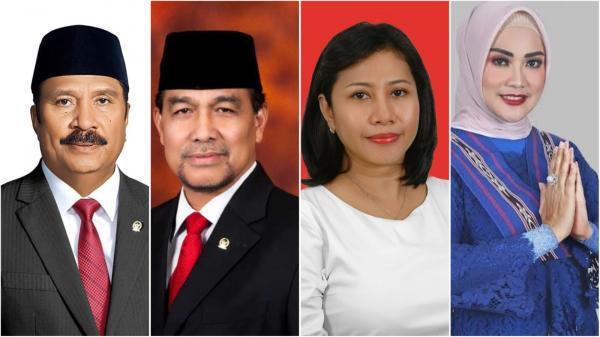 Dua Petahana DPR dan DPD RI Dapil Maluku Gagal, Widya dan Novita Peringkat Pertama