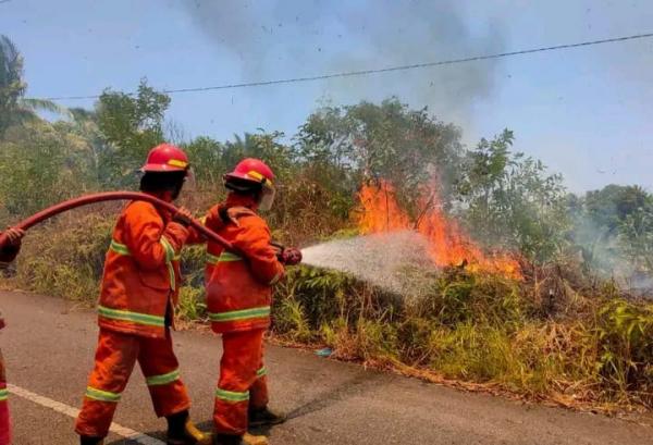Dipicu Cuaca Panas, 1 Hektar Lahan Perkebunan di Natuna Terbakar