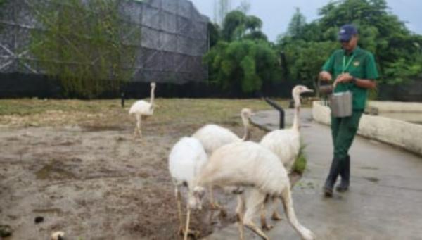 Aviary Park di Bintaro Tawarkan Petualangan Alam Bersama Keluarga yang Tidak Terlupakan
