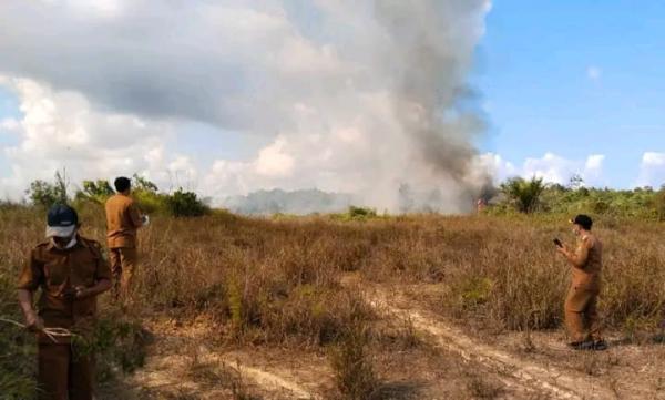 Kebakaran Lahan Kembali Terjadi di Natuna, Api terpantau di Dua Lokasi