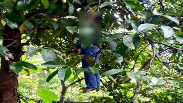Ribut dengan Istri, Pria di Kerinci Nekat Gantung Diri di Pohon Manggis Begini Chat Terakhir Korban