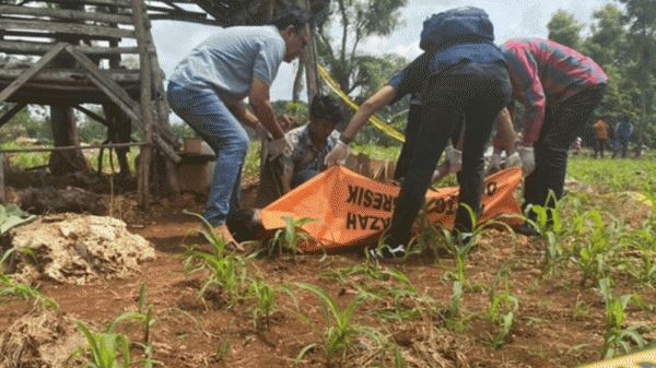 Hasil Outopsi, TIdak Ditemukan Tanda Kekerasan pada Jasad Remaja Tewas di Kebun Jagung