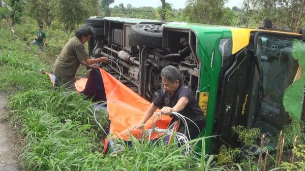 Kecelakaan di Mojokerto, Bus Trans Jatim Berpenumpang 7 Orang Terguling ke Sawah