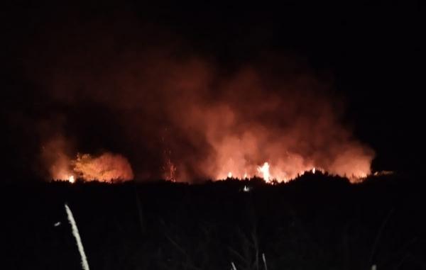 2 Hektare Lahan di Bunguran Utara Hangus Tebakar