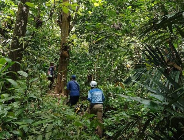 Dikenal Angker, Tiap Tahun Ada Saja Warga yang Tersesat di Hutan Gunung Geger Bentang Ciamis