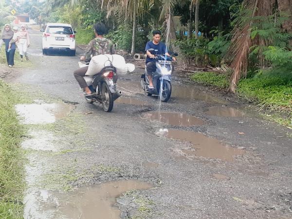 Jalan Utama Kecamatan Rajabasa Rusak Parah, Warga Desak Pemerintah Segera Bertindak