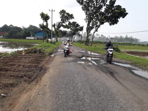 Kondisi Jalan Utama Desa Wanarata-Pegiringan Banyak Lubang Besar, Pengendara Motor Wajib Hati-Hati