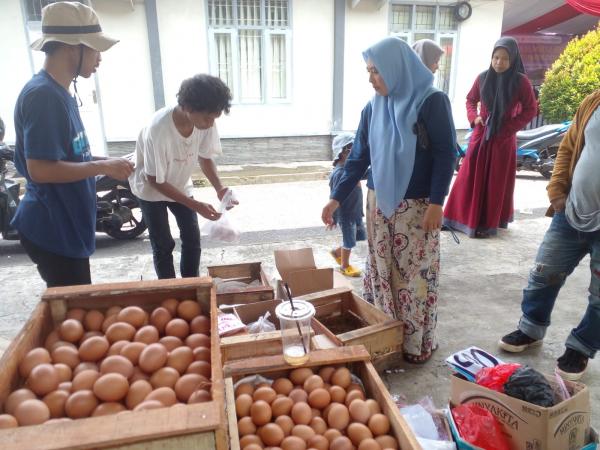 Harga Telur Ayam Turun Drastis, Ditingkat Eceran Rp28.000 per Kilogram