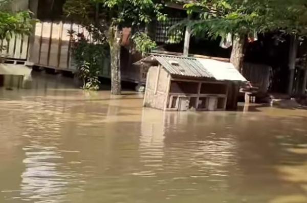 Sungai Karangtengah Meluap, Ploso Demak Terendam Banjir