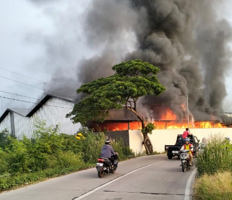 Kebakaran Gudang Rotan di Cangkring Cirebon, Kerugian Capai Ratusan Juta