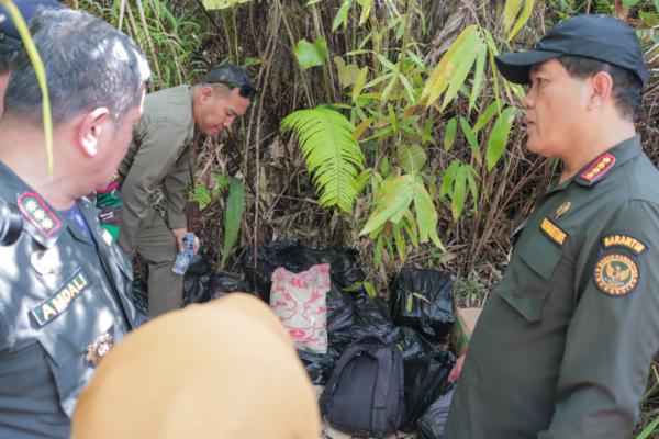 Kepala Badan Karantina Indonesia Telusuri Jalur Tikus Entikong: Ini jadi pintu masuk Bioterorisme
