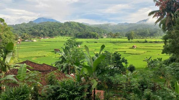 Mitos Kampung Limustilu Desa Ciuduan Setiap Tahun 3 Peristiwa. Ini Faktanya