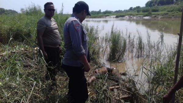 Mayat Perempuan Tanpa Identitas Ditemukan di Pinggir Sungai Citarum Bekasi