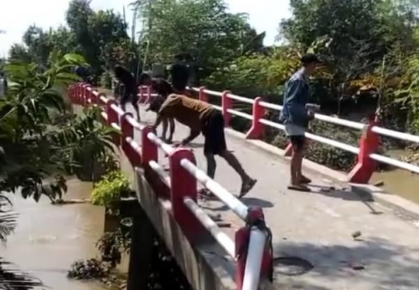 Viral Pemuda di Demak Rusak Jembatan demi Truk Sound System Bisa Lewat, Endingnya Diangkut Polisi