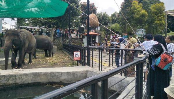 Kampung Satwa di Lembang Park and Zoo Jadi Spot Favorit Bagi Wisatawan