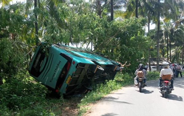 Kecelakaan Lalu Lintas Hari Ini Bus Pariwisata Terguling di Area Pantai Sawarna, Penumpang Luka luka