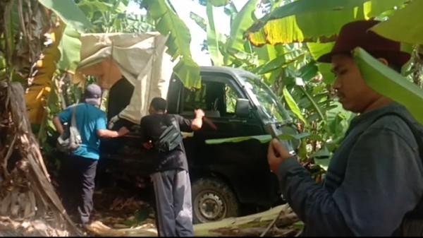 Hilang Kendali, Mobil Pikap Rombongan Wisata Masuk ke Kebun Pisang di Pasput Cihara